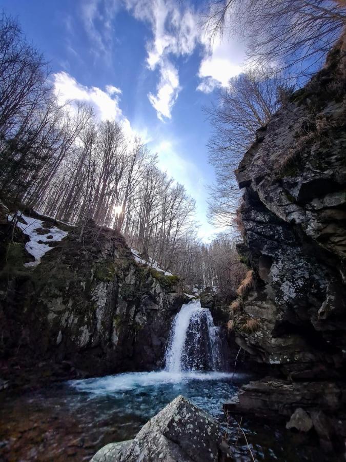 La Casetta Della Nonna Sant'Anna Pelago Esterno foto