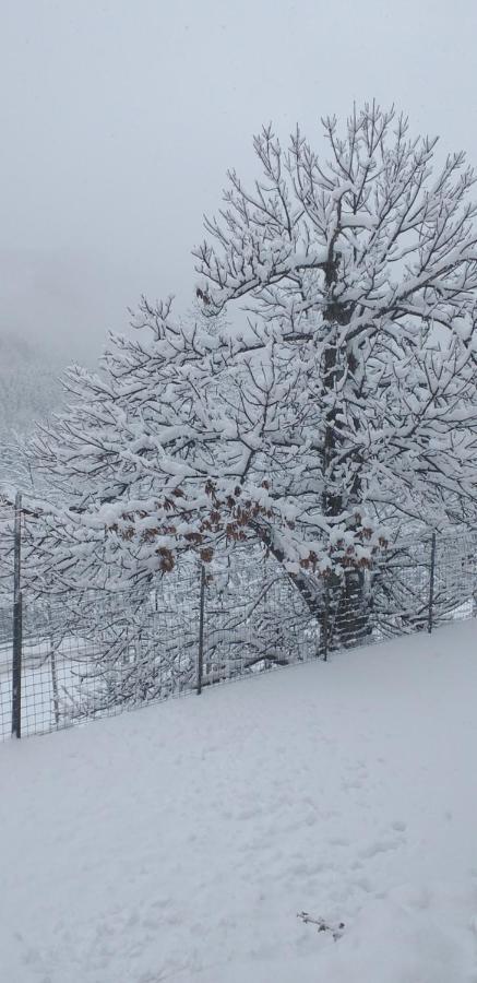 La Casetta Della Nonna Sant'Anna Pelago Esterno foto